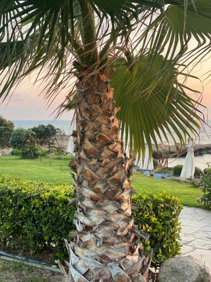 Royal Seacrest F G5 Ground Floor Apartment Paphos Exterior photo